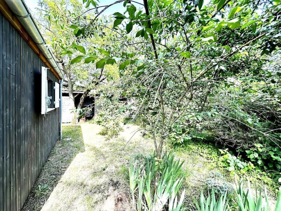Harmonie - Agreable Maison Situee Dans Un Ecrin De Verdure La Tremblade Kültér fotó
